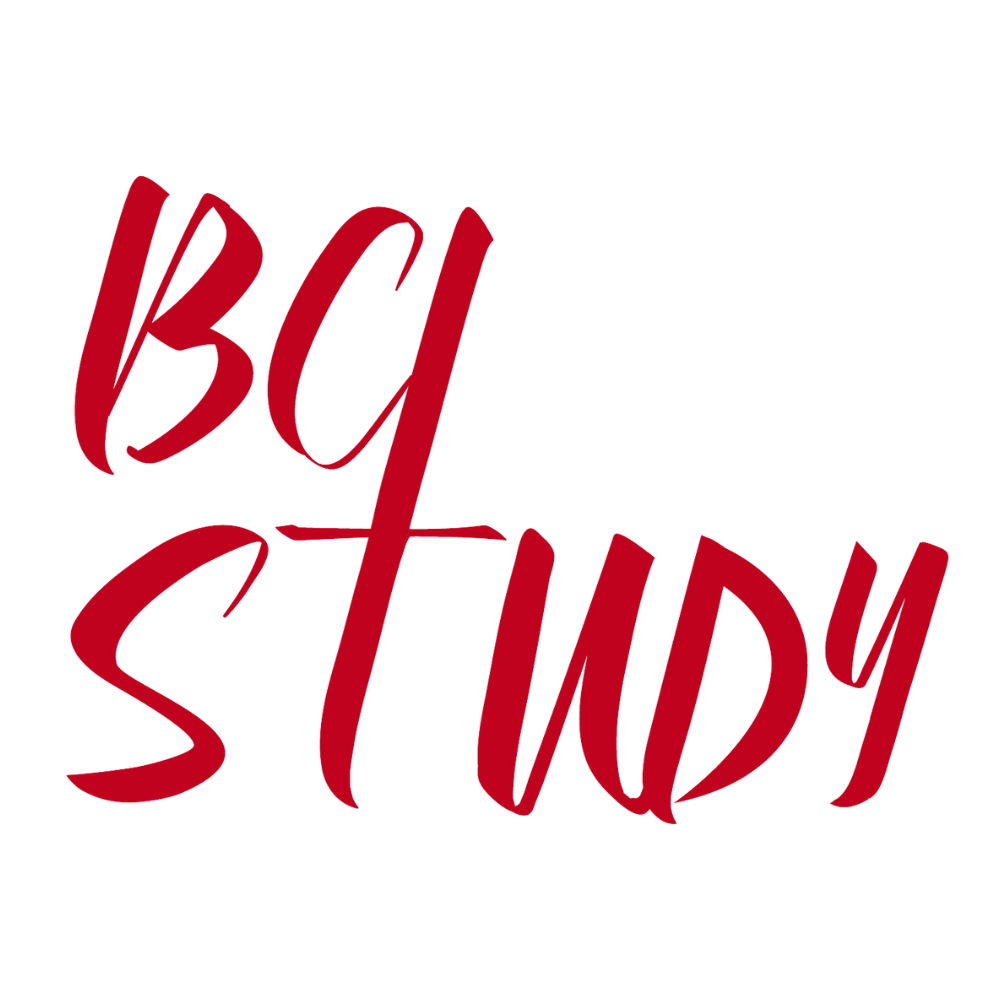 BCI Study — logo